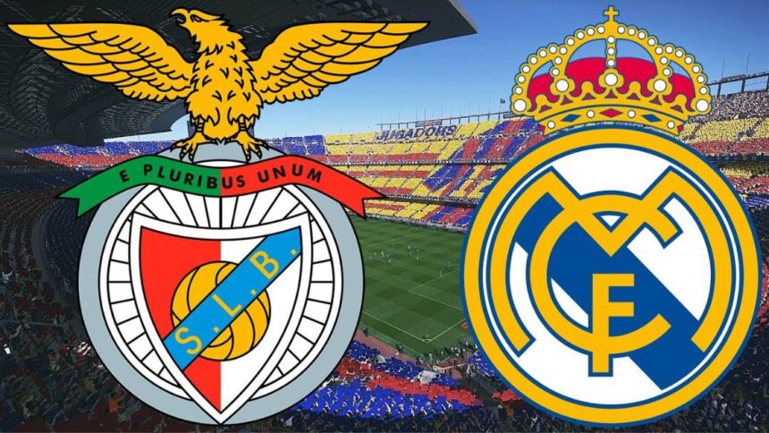 Barrages Ligue des champions : sur quelle chaîne et à quelle heure suivre Benfica vs Real Madrid ?