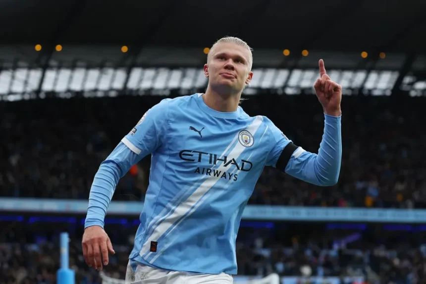 Classement des meilleurs buteurs de la Premier League